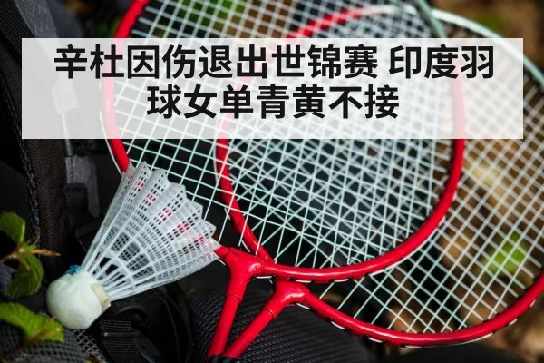辛杜因伤退出世锦赛 印度羽球女单青黄不接